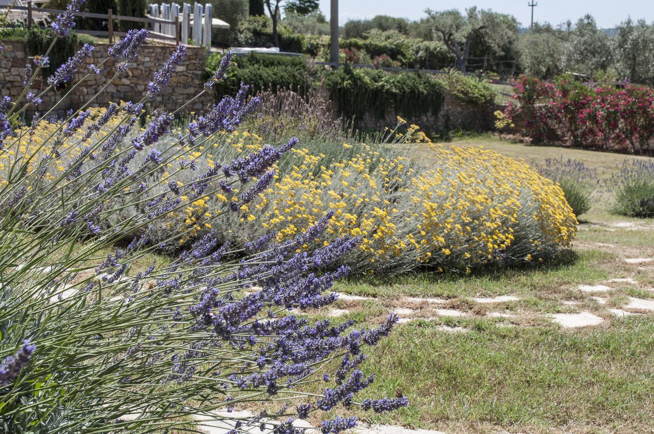 Borgo De Salaioli Bed & Breakfast Scansano Экстерьер фото